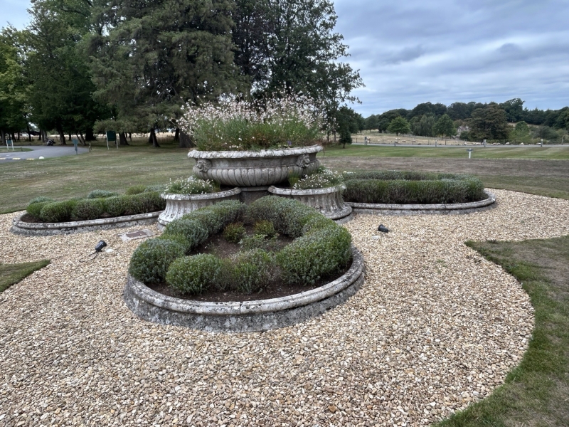 The Downs Preparatory School